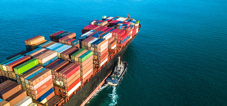 Delivering high-quality regional produce to international partners and markets. We bridge the gap between local growers and global consumers efficiently.